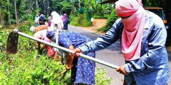 തൊഴിലുറപ്പ് പദ്ധതി നഗരങ്ങളിലേക്കും നടപ്പാക്കാന് ശുപാര്ശ തൊഴിലുറപ്പ് പദ്ധതി നഗരങ്ങളിലേക്കും നടപ്പാക്കാന് ശുപാര്ശ