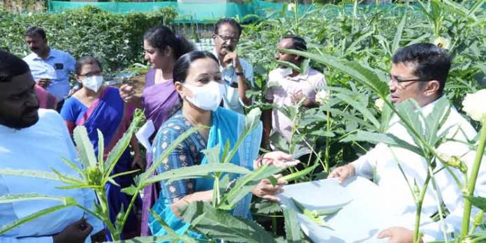 കാര്ഷികരംഗം പുനരുജ്ജീവിപ്പിക്കുന്നതിന് സര്ക്കാര് നടത്തുന്നത് വ്യാപക പ്രവര്ത്തനങ്ങള് : മന്ത്രി വീണാ ജോര്ജ് കാര്ഷികരംഗം പുനരുജ്ജീവിപ്പിക്കുന്നതിന് സര്ക്കാര് നടത്തുന്നത് വ്യാപക പ്രവര്ത്തനങ്ങള് : മന്ത്രി വീണാ ജോര്ജ്