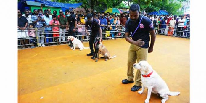 എന്റെ കേരളം ; മികച്ച സര്ക്കാര് സ്റ്റാളിനുള്ള പുരസ്കാരം പോലീസ് വകുപ്പിന് എന്റെ കേരളം ; മികച്ച സര്ക്കാര് സ്റ്റാളിനുള്ള പുരസ്കാരം പോലീസ് വകുപ്പിന്