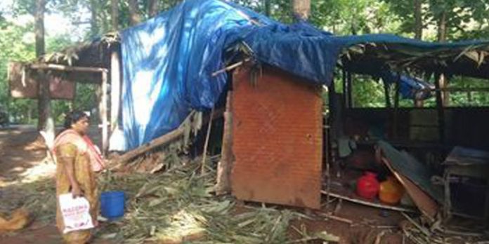 പേരുവാലിയിലെ ആരണ്യകം കഫേ കാട്ടാനയുടെ ആക്രമണത്തിൽ നശിച്ചു പേരുവാലിയിലെ ആരണ്യകം കഫേ കാട്ടാനയുടെ ആക്രമണത്തിൽ നശിച്ചു
