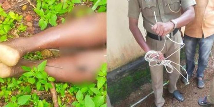 പന്നിക്കെണിയിൽ നിന്ന് ഷോക്കേറ്റ് മരണം ; വിതുരയിൽ ഒരാൾ അറസ്റ്റിൽ പന്നിക്കെണിയിൽ നിന്ന് ഷോക്കേറ്റ് മരണം ; വിതുരയിൽ ഒരാൾ അറസ്റ്റിൽ