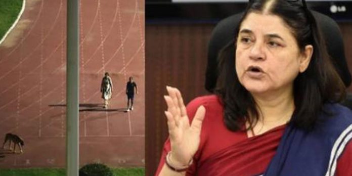 സർക്കാർ സ്റ്റേഡിയത്തിലെ ട്രാക്കിൽ നായയെ നടത്തിയ ഐഎഎസ് ദമ്പതികളെ പിന്തുണച്ച് മനേക ഗാന്ധി സർക്കാർ സ്റ്റേഡിയത്തിലെ ട്രാക്കിൽ നായയെ നടത്തിയ ഐഎഎസ് ദമ്പതികളെ പിന്തുണച്ച് മനേക ഗാന്ധി