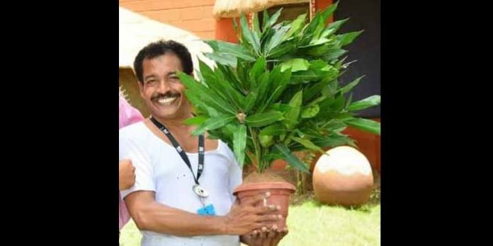 പത്തനംതിട്ടയിൽ ജനങ്ങളെ സാക്ഷിനിർത്തി മാങ്ങാണ്ടി കുഴിച്ചിട്ട്, മാവ് വളർത്തി മാങ്ങ പറിച്ച് നൽകുന്ന ജാലവിദ്യ പത്തനംതിട്ടയിൽ ജനങ്ങളെ സാക്ഷിനിർത്തി മാങ്ങാണ്ടി കുഴിച്ചിട്ട്, മാവ് വളർത്തി മാങ്ങ പറിച്ച് നൽകുന്ന ജാലവിദ്യ