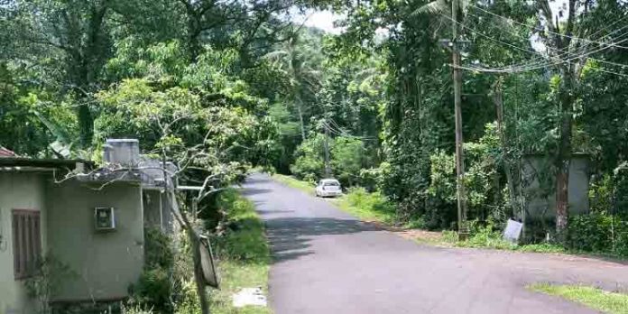 ദിശാ സൂചികയില്ല ; പെരുന്തേനരുവിയിലേക്ക് എത്തുന്ന സഞ്ചാരികൾ ദുരിതത്തിൽ ദിശാ സൂചികയില്ല ; പെരുന്തേനരുവിയിലേക്ക് എത്തുന്ന സഞ്ചാരികൾ ദുരിതത്തിൽ