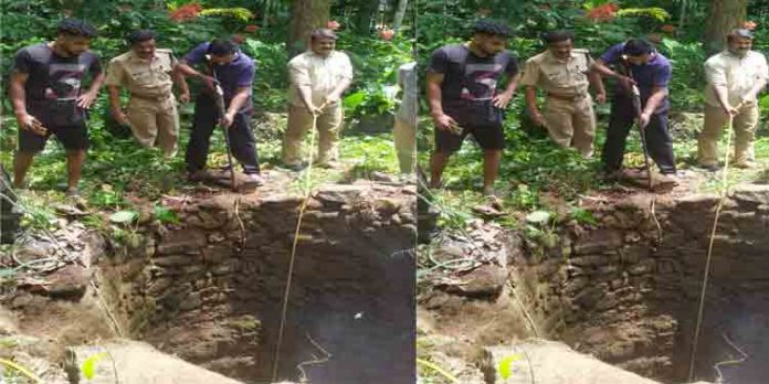 കിണറ്റിൽ വീണ കാട്ടുപന്നിയെ വെടിവെച്ചു കൊന്നു കിണറ്റിൽ വീണ കാട്ടുപന്നിയെ വെടിവെച്ചു കൊന്നു