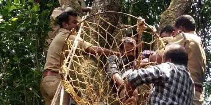 അവശനായി മരത്തില് കുടുങ്ങി : ഫയര്ഫോഴ്സ് രക്ഷിച്ച യുവാവ് മരിച്ചു അവശനായി മരത്തില് കുടുങ്ങി : ഫയര്ഫോഴ്സ് രക്ഷിച്ച യുവാവ് മരിച്ചു