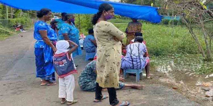 ഭവന നിര്മാണവും പഠനവും വഴിമുട്ടി;അപ്പര്കുട്ടനാട്ടില് പട്ടയത്തിനായി 22 കുടുംബങ്ങള് കാത്തിരിപ്പ് തുടങ്ങിയിട്ട് വര്ഷങ്ങള് ഭവന നിര്മാണവും പഠനവും വഴിമുട്ടി;അപ്പര്കുട്ടനാട്ടില് പട്ടയത്തിനായി 22 കുടുംബങ്ങള് കാത്തിരിപ്പ് തുടങ്ങിയിട്ട് വര്ഷങ്ങള്