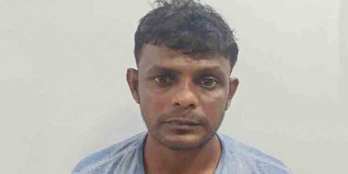 ആദായനികുതി ഉദ്യോഗസ്ഥര് ചമഞ്ഞ് വീട്ടില് നിന്ന് സ്വര്ണ്ണവും പണവും കവര്ന്ന കേസ് ; റെയില്വേ ജീവനക്കാരന് അറസ്റ്റില് ആദായനികുതി ഉദ്യോഗസ്ഥര് ചമഞ്ഞ് വീട്ടില് നിന്ന് സ്വര്ണ്ണവും പണവും കവര്ന്ന കേസ് ; റെയില്വേ ജീവനക്കാരന് അറസ്റ്റില്