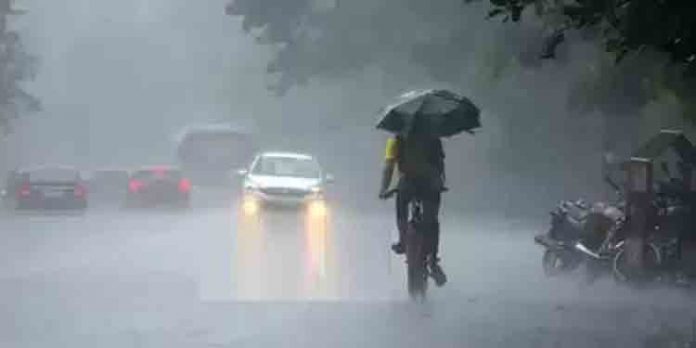 സംസ്ഥാനത്ത് ഒറ്റപ്പെട്ടയിടങ്ങളില് മഴയ്ക്ക് സാധ്യത ; ഏഴ് ജില്ലകളില് യെല്ലോ അലര്ട്ട് സംസ്ഥാനത്ത് ഒറ്റപ്പെട്ടയിടങ്ങളില് മഴയ്ക്ക് സാധ്യത ; ഏഴ് ജില്ലകളില് യെല്ലോ അലര്ട്ട്