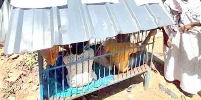 പത്തനംതിട്ടയിൽ പട്ടിക്കൂട്ടിൽ കയറി വീട്ടമ്മയുടെ പ്രതിഷേധം പത്തനംതിട്ടയിൽ പട്ടിക്കൂട്ടിൽ കയറി വീട്ടമ്മയുടെ പ്രതിഷേധം