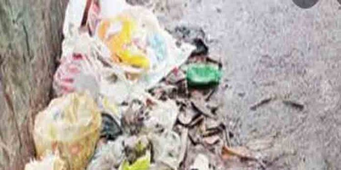 കോഴഞ്ചേരി പഞ്ചായത്തിലെ ഇടവഴികളില് മാലിന്യം തള്ളുന്നത് വ്യാപകം കോഴഞ്ചേരി പഞ്ചായത്തിലെ ഇടവഴികളില് മാലിന്യം തള്ളുന്നത് വ്യാപകം