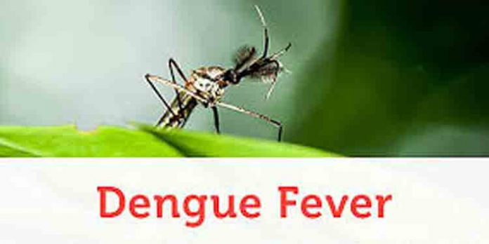 വയനാട്ടില് പനി ബാധിച്ച് വിദ്യാര്ത്ഥി മരിച്ചു വയനാട്ടില് പനി ബാധിച്ച് വിദ്യാര്ത്ഥി മരിച്ചു