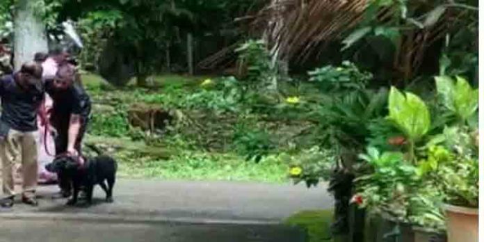 കിടങ്ങൂരില് വീട് കുത്തിത്തുറന്ന് സ്വര്ണാഭരണങ്ങള് മോഷ്ടിച്ചു കിടങ്ങൂരില് വീട് കുത്തിത്തുറന്ന് സ്വര്ണാഭരണങ്ങള് മോഷ്ടിച്ചു