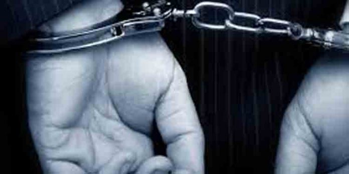 നാടന്തോക്കും തിരകളുമായി യുവാവ് പോലീസിന്റെ പിടിയില് നാടന്തോക്കും തിരകളുമായി യുവാവ് പോലീസിന്റെ പിടിയില്