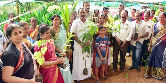 വൃക്ഷ തൈകളുടെ ഉദ്ഘാടനം നടത്തി വൃക്ഷ തൈകളുടെ ഉദ്ഘാടനം നടത്തി
