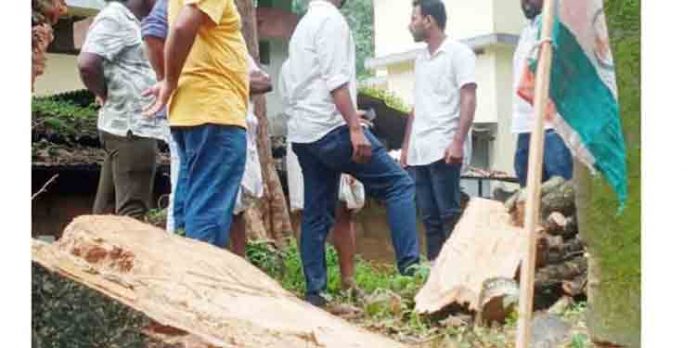 മുക്കം ഗവ.ആശുപത്രിവളപ്പില്നിന്നും സ്വകാര്യവ്യക്തി അനധികൃതമായി മരം മുറിച്ചുമാറ്റി മുക്കം ഗവ.ആശുപത്രിവളപ്പില്നിന്നും സ്വകാര്യവ്യക്തി അനധികൃതമായി മരം മുറിച്ചുമാറ്റി