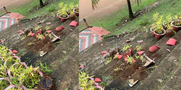ഇരുളിന്റെ മറവിൽ എം എസ് ഹയർ സെക്കൻഡറി സ്കൂളിൽ സാമൂഹികവിരുദ്ധരുടെ വിളയാട്ടം ഇരുളിന്റെ മറവിൽ എം എസ് ഹയർ സെക്കൻഡറി സ്കൂളിൽ സാമൂഹികവിരുദ്ധരുടെ വിളയാട്ടം