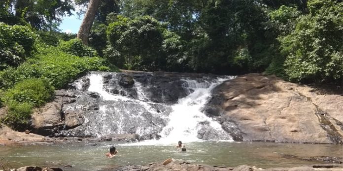 കൂടൽ രാജഗിരി വെള്ളച്ചാട്ടത്തിൽ സഞ്ചാരികളുടെ തിരക്ക് കൂടുന്നു കൂടൽ രാജഗിരി വെള്ളച്ചാട്ടത്തിൽ സഞ്ചാരികളുടെ തിരക്ക് കൂടുന്നു