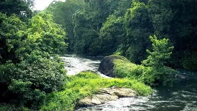 പരിസ്ഥിതിലോലമേഖല ; സംസ്ഥാനത്തുണ്ടായത് കടുത്ത ആശയക്കുഴപ്പവും കാലതാമസവും പരിസ്ഥിതിലോലമേഖല ; സംസ്ഥാനത്തുണ്ടായത് കടുത്ത ആശയക്കുഴപ്പവും കാലതാമസവും