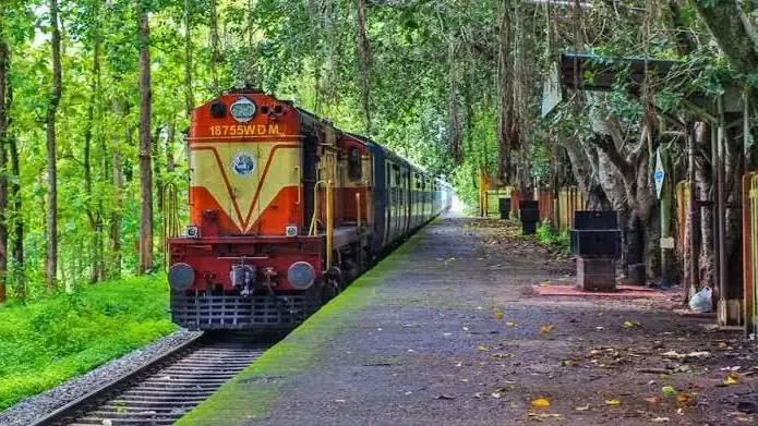 നിലമ്പൂർ – ഷൊർണൂർ പാതയിൽ കൂടുതൽ ട്രെയിനുകൾക്ക് സാധ്യത നിലമ്പൂർ – ഷൊർണൂർ പാതയിൽ കൂടുതൽ ട്രെയിനുകൾക്ക് സാധ്യത
