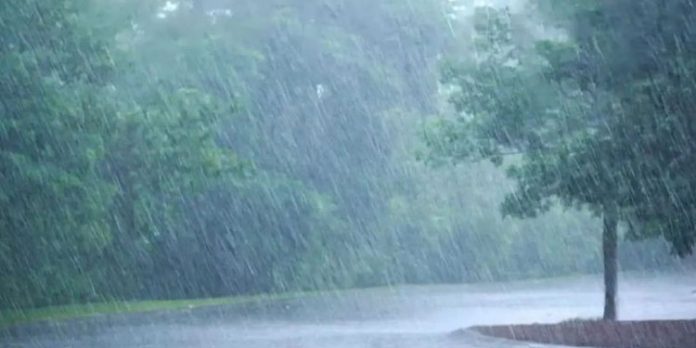 കേരളത്തില് അഞ്ച് ദിവസം കൂടി ശക്തമായ മഴ ; ഇന്ന് എട്ട് ജില്ലകളില് യെല്ലോ അലേര്ട്ട് കേരളത്തില് അഞ്ച് ദിവസം കൂടി ശക്തമായ മഴ ; ഇന്ന് എട്ട് ജില്ലകളില് യെല്ലോ അലേര്ട്ട്