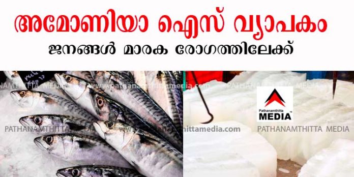 മത്സ്യത്തില് ഉപയോഗിക്കുന്നത് അമോണിയ ഐസ് ; ജനങ്ങള് മാരകരോഗത്തിലേക്ക് ….. മൌനം പാലിച്ച് ഉദ്യോഗസ്ഥര് മത്സ്യത്തില് ഉപയോഗിക്കുന്നത് അമോണിയ ഐസ് ; ജനങ്ങള് മാരകരോഗത്തിലേക്ക് ….. മൌനം പാലിച്ച് ഉദ്യോഗസ്ഥര്