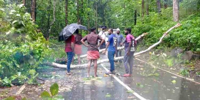 പത്തനംതിട്ടയില് ശക്തമായ കാറ്റും മഴയും തുടരുന്നു ; കോന്നി – തണ്ണിത്തോട് റോഡിൽ മരം വീണ് ഗതാഗതം തടസ്സപ്പെട്ടു പത്തനംതിട്ടയില് ശക്തമായ കാറ്റും മഴയും തുടരുന്നു ; കോന്നി – തണ്ണിത്തോട് റോഡിൽ മരം വീണ് ഗതാഗതം തടസ്സപ്പെട്ടു