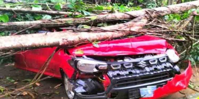 ഓടിക്കൊണ്ടിരുന്ന കാറിന് മുകളിലേക്ക് ആല്മരത്തിന്റെ കൊമ്പുകള് ഓടിഞ്ഞുവീണു ഓടിക്കൊണ്ടിരുന്ന കാറിന് മുകളിലേക്ക് ആല്മരത്തിന്റെ കൊമ്പുകള് ഓടിഞ്ഞുവീണു