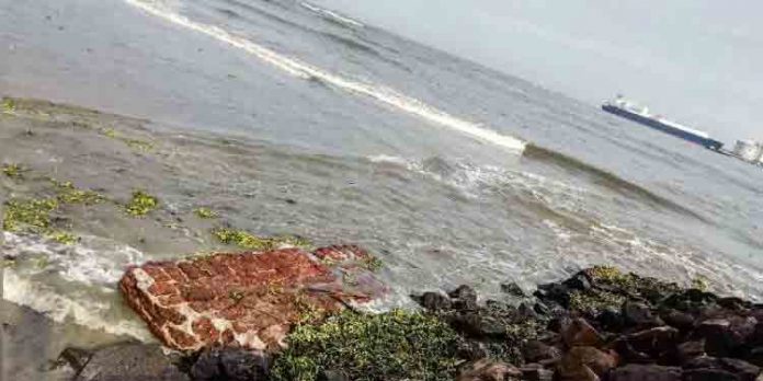 രാജ്യത്തെ ആദ്യ യൂറോപ്യന് കോട്ടയുടെ ശേഷിപ്പുകള് ഫോര്ട്ട്കൊച്ചി കടല്ത്തീരത്ത് തെളിഞ്ഞുവന്നു രാജ്യത്തെ ആദ്യ യൂറോപ്യന് കോട്ടയുടെ ശേഷിപ്പുകള് ഫോര്ട്ട്കൊച്ചി കടല്ത്തീരത്ത് തെളിഞ്ഞുവന്നു