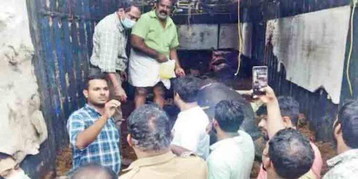 ചത്ത പോത്തിനെ അറുക്കാനുള്ള ഫാം നടത്തിപ്പുകാരന്റെ ശ്രമം തടഞ്ഞ് നാട്ടുകാര് ചത്ത പോത്തിനെ അറുക്കാനുള്ള ഫാം നടത്തിപ്പുകാരന്റെ ശ്രമം തടഞ്ഞ് നാട്ടുകാര്