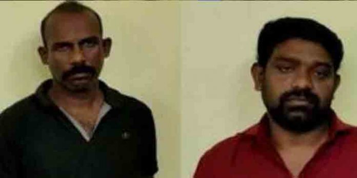 വീട് കുത്തിത്തുറന്ന് കവർന്നത് 20 പവനും പണവും ; ‘സ്പൈഡർ’ സുനിൽ പിടിയിൽ വീട് കുത്തിത്തുറന്ന് കവർന്നത് 20 പവനും പണവും ; ‘സ്പൈഡർ’ സുനിൽ പിടിയിൽ
