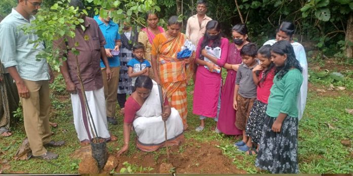 പഠനോപകരണ വിതരണവും വന മഹോത്സവും നടത്തി പഠനോപകരണ വിതരണവും വന മഹോത്സവും നടത്തി