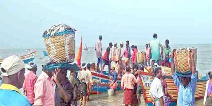 പായല്കുളങ്ങര തീരത്ത് ചാകര പായല്കുളങ്ങര തീരത്ത് ചാകര