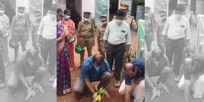 കോന്നി ഫോറസ്റ്റ് ഡിവിഷന്റെ നേതൃത്വത്തിൽ വന മഹോത്സവം 2022 സംഘടിപ്പിച്ചു കോന്നി ഫോറസ്റ്റ് ഡിവിഷന്റെ നേതൃത്വത്തിൽ വന മഹോത്സവം 2022 സംഘടിപ്പിച്ചു