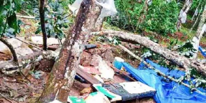 തൊഴിലുറപ്പ് തൊഴിലാളികളുടെ ഇടയിലേക്ക് മരം ഒടിഞ്ഞുവീണ് മൂന്ന് സ്ത്രീകള്ക്ക് പരിക്കേറ്റു തൊഴിലുറപ്പ് തൊഴിലാളികളുടെ ഇടയിലേക്ക് മരം ഒടിഞ്ഞുവീണ് മൂന്ന് സ്ത്രീകള്ക്ക് പരിക്കേറ്റു