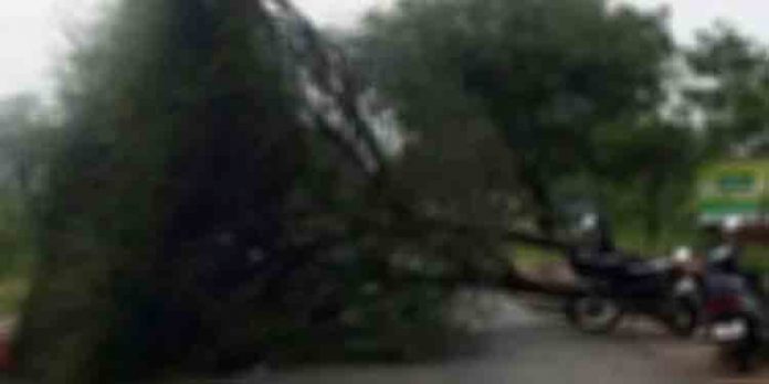 തകഴിയില് അപ്രതീക്ഷിതമായി ഉണ്ടായ ചുഴലിക്കാറ്റില് വീടുകളും കൃഷിയും നശിച്ചു തകഴിയില് അപ്രതീക്ഷിതമായി ഉണ്ടായ ചുഴലിക്കാറ്റില് വീടുകളും കൃഷിയും നശിച്ചു