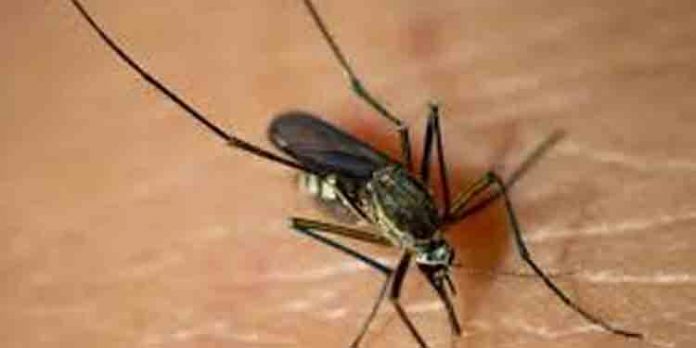 ജാപ്പനീസ് എൻസഫലൈറ്റിസ് ; അസമിൽ മരണസംഖ്യ 23 ആയി ജാപ്പനീസ് എൻസഫലൈറ്റിസ് ; അസമിൽ മരണസംഖ്യ 23 ആയി