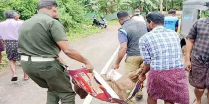 ജനവാസ മേഖലയില് ഇറങ്ങിയ കാട്ടുപന്നിയെ വനംവകുപ്പിന്റെ നേതൃത്വത്തില് വെടിവെച്ചു കൊന്നു ജനവാസ മേഖലയില് ഇറങ്ങിയ കാട്ടുപന്നിയെ വനംവകുപ്പിന്റെ നേതൃത്വത്തില് വെടിവെച്ചു കൊന്നു