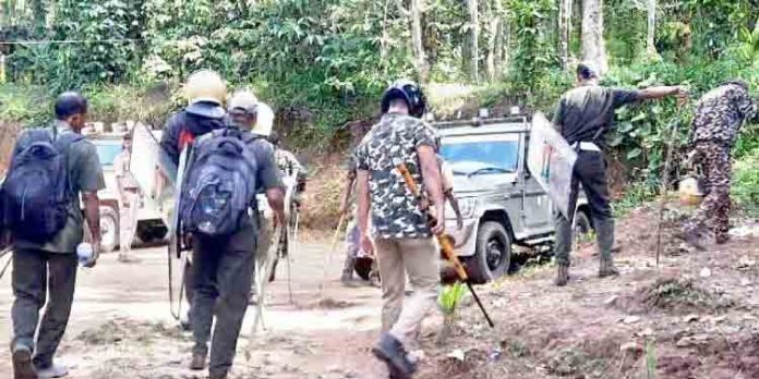 കാട്ടുപന്നിയെ ആക്രമിച്ചുകൊന്ന കടുവയെ തിരച്ചിലിനിടെ കണ്ടെത്തി കാട്ടുപന്നിയെ ആക്രമിച്ചുകൊന്ന കടുവയെ തിരച്ചിലിനിടെ കണ്ടെത്തി