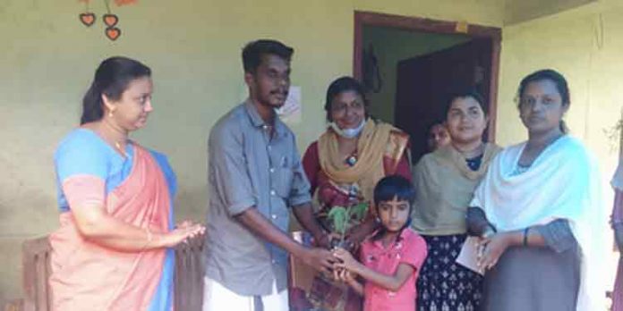 ഞങ്ങളും കൃഷിയിലേക്ക് ഹരിതാങ്കണം പദ്ധതി ഉദ്ഘാടനം ചെയ്തു ഞങ്ങളും കൃഷിയിലേക്ക് ഹരിതാങ്കണം പദ്ധതി ഉദ്ഘാടനം ചെയ്തു