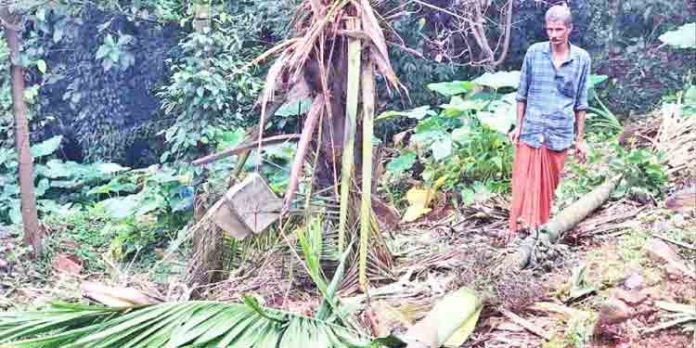 ചന്ദനക്കാംപാറയിൽ വീണ്ടും കാട്ടാനക്കൂട്ടമെത്തി കൃഷി നശിപ്പിച്ചു ചന്ദനക്കാംപാറയിൽ വീണ്ടും കാട്ടാനക്കൂട്ടമെത്തി കൃഷി നശിപ്പിച്ചു