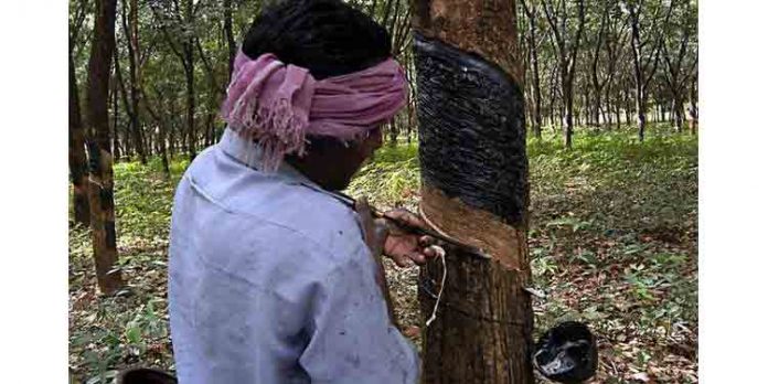 റബർ കർഷകർക്ക് സാമൂഹ്യക്ഷേമ പെൻഷനുകൾ നിഷേധിക്കുന്ന സർക്കാർ ഉത്തരവ് പിൻവലിക്കണം ; കേരള കോൺഗ്രസ് (എം) റബർ കർഷകർക്ക് സാമൂഹ്യക്ഷേമ പെൻഷനുകൾ നിഷേധിക്കുന്ന സർക്കാർ ഉത്തരവ് പിൻവലിക്കണം ; കേരള കോൺഗ്രസ് (എം)