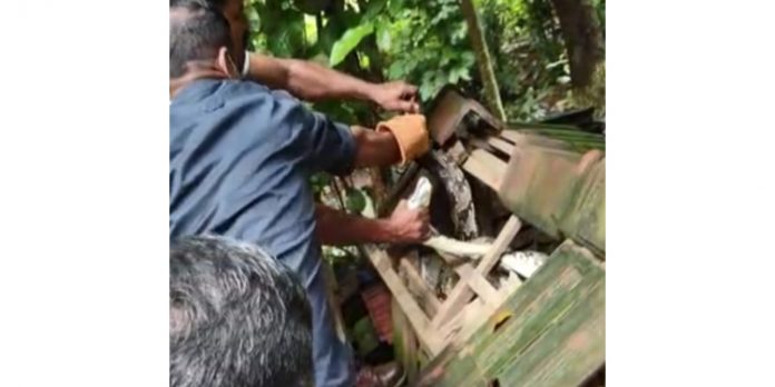 കോഴിക്കൂട്ടില് നിന്നും പെരുമ്പാമ്പിനെ പിടികൂടി കോഴിക്കൂട്ടില് നിന്നും പെരുമ്പാമ്പിനെ പിടികൂടി