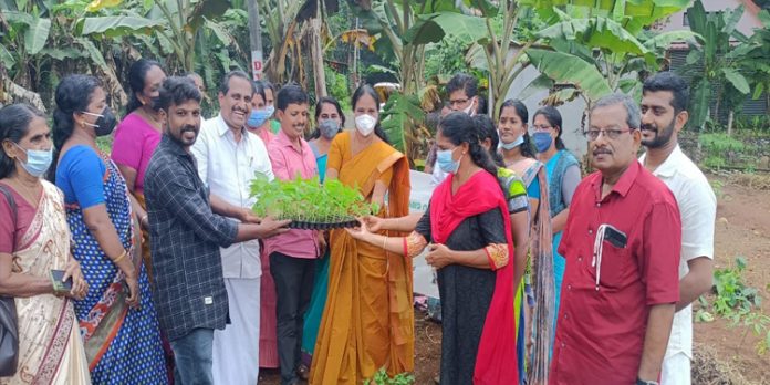 ഞങ്ങളും കൃഷിയിലേക്ക് പദ്ധതി ഉദ്ഘാടനം ചെയ്തു ഞങ്ങളും കൃഷിയിലേക്ക് പദ്ധതി ഉദ്ഘാടനം ചെയ്തു