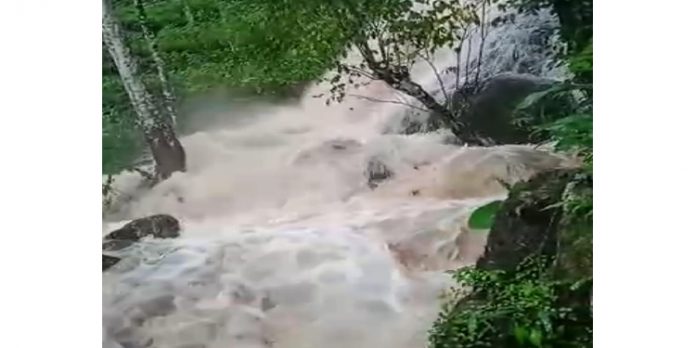 കുരുമ്പന്മൂഴിയില് ശക്തമായ മഴവെള്ള പാച്ചില് കുരുമ്പന്മൂഴിയില് ശക്തമായ മഴവെള്ള പാച്ചില്