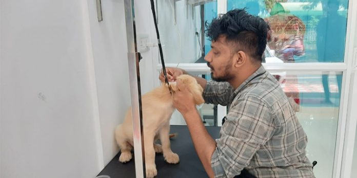 കോന്നിയിൽ വളർത്ത് മൃഗങ്ങൾക്കും ഉണ്ട് ഒരു ബ്യൂട്ടിപാർലർ കോന്നിയിൽ വളർത്ത് മൃഗങ്ങൾക്കും ഉണ്ട് ഒരു ബ്യൂട്ടിപാർലർ