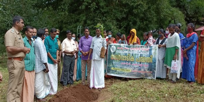 നഗർവാടിക പദ്ധതിക്ക് തുടക്കം കുറിച്ചു നഗർവാടിക പദ്ധതിക്ക് തുടക്കം കുറിച്ചു