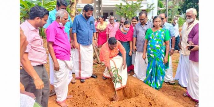 തരിശുരഹിത തെക്കേക്കരയ്ക്കായി ജനപ്രതിനിധികള് കൃഷിയിലേക്ക് തരിശുരഹിത തെക്കേക്കരയ്ക്കായി ജനപ്രതിനിധികള് കൃഷിയിലേക്ക്