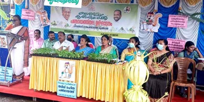 ഞങ്ങളും കൃഷിയിലേക്ക്….. പഴവങ്ങാടി ഗ്രാമപഞ്ചായത്തിന്റെയും കൃഷിഭവന്റെയും ആഭിമുഖ്യത്തിൽ പദ്ധതി ഞങ്ങളും കൃഷിയിലേക്ക്….. പഴവങ്ങാടി ഗ്രാമപഞ്ചായത്തിന്റെയും കൃഷിഭവന്റെയും ആഭിമുഖ്യത്തിൽ പദ്ധതി