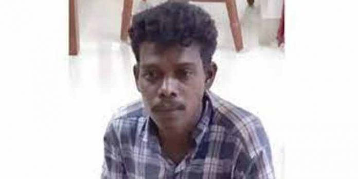 പുള്ളിമാനെ വേട്ടയാടിയ സംഘത്തിലെ ഒരാള് പിടിയില് പുള്ളിമാനെ വേട്ടയാടിയ സംഘത്തിലെ ഒരാള് പിടിയില്